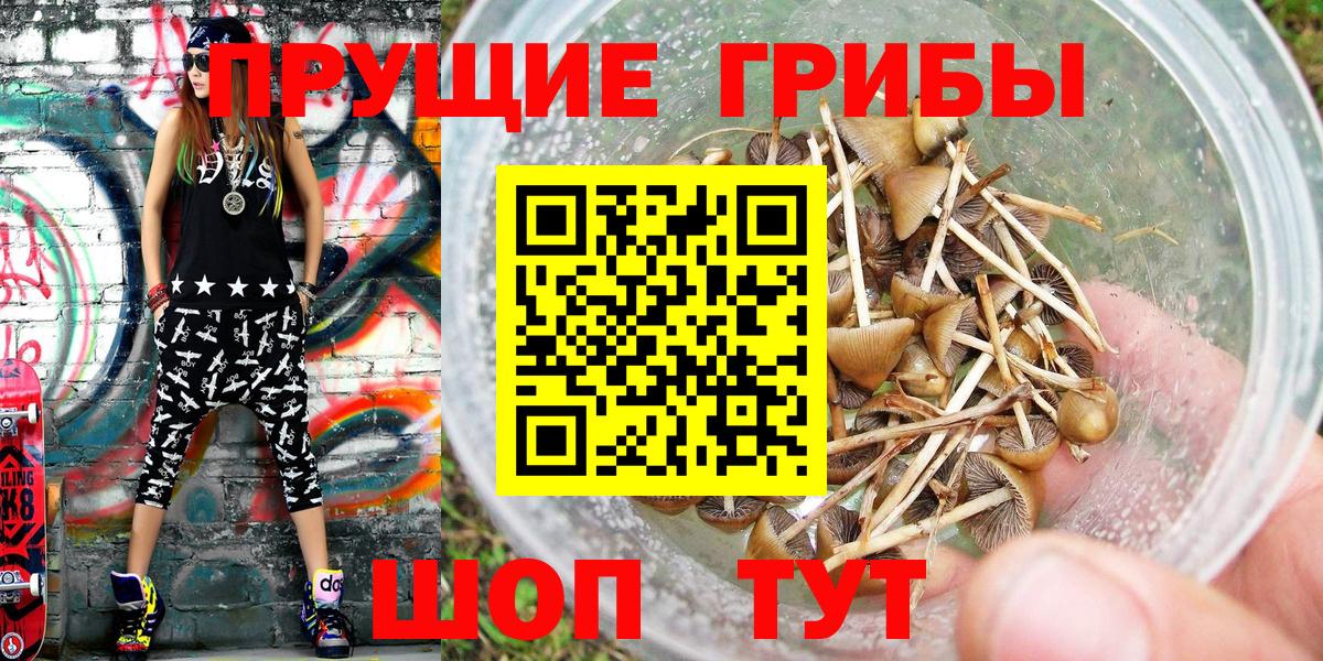 Псилоцибиновые грибы мухоморы  сколько стоит  Казань  Вход с VPN 